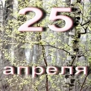 25 апреля какой день