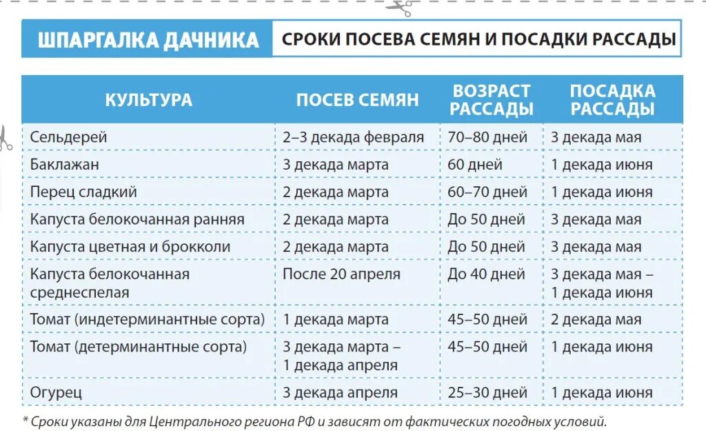 Какие сроки посева семян. Таблица сроков посадки капусты рассаду. Сроки посева семян на рассаду. Таблица сроков посева семян на рассаду. Сроки посева семян таблица.