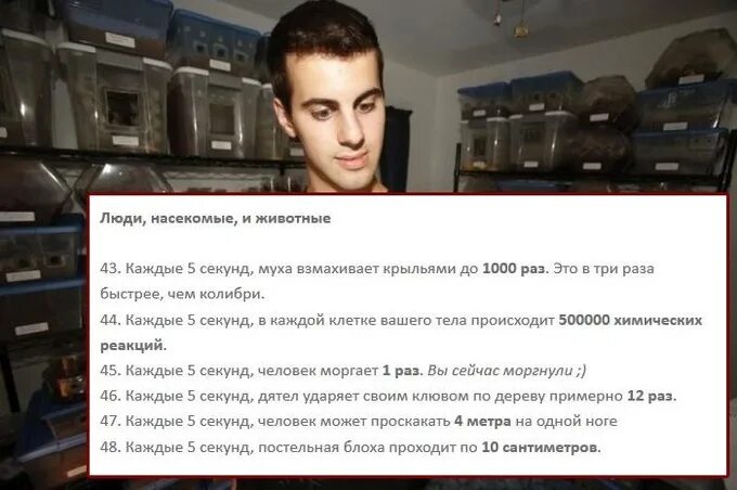 каждые пять секунд. каждые 5 секунд. каждые 5 секунд. каждые пять секунд. каждые пять секунд.