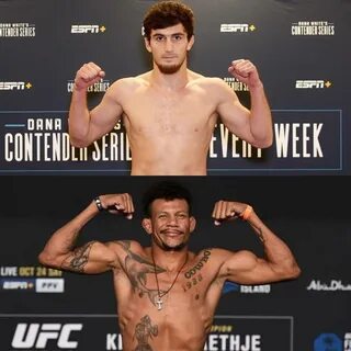 Телеграмм боев ufc