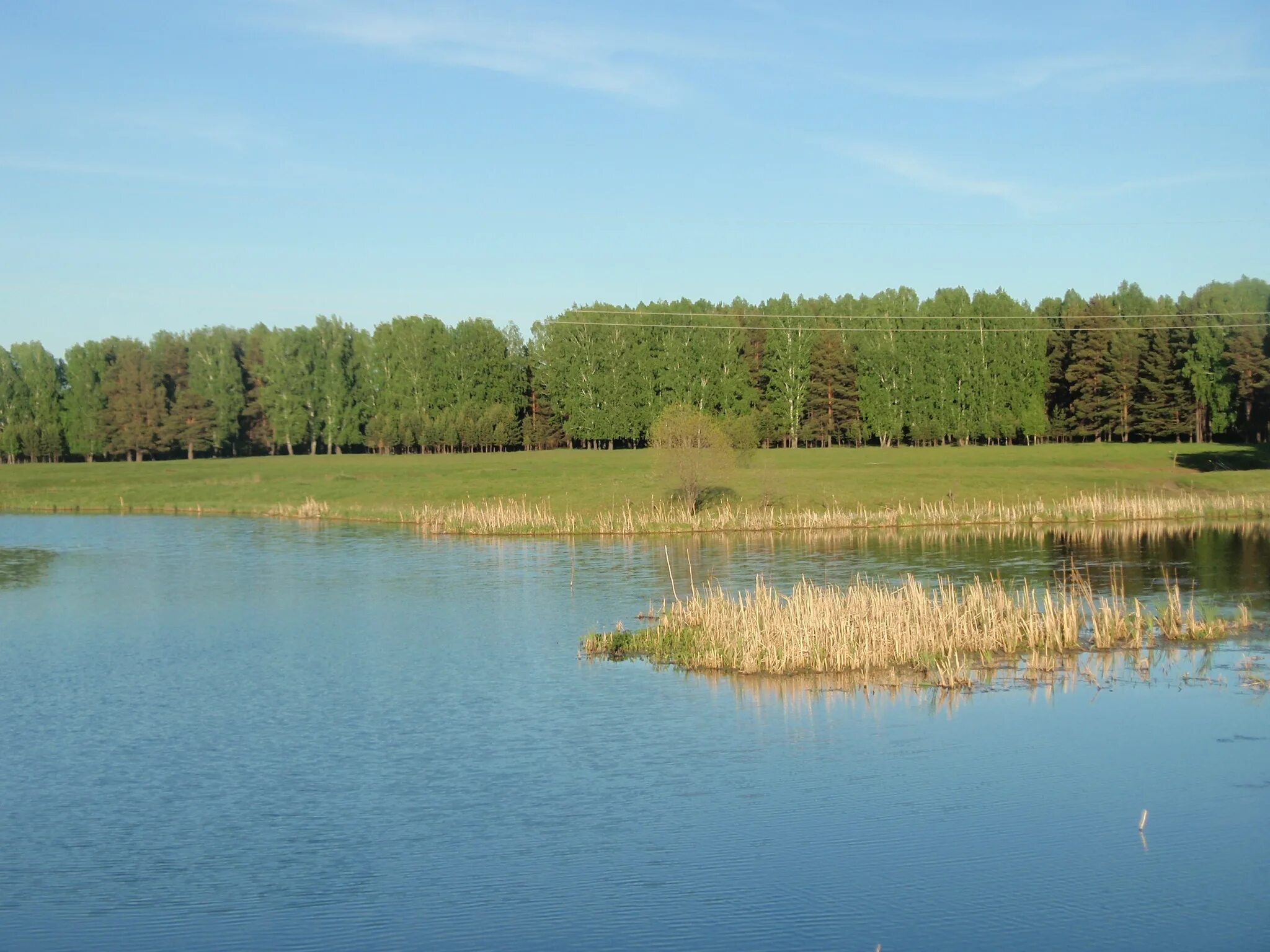 Кулига Тюмень озеро. Озеро в Кулига парке. Озеро кривая Кулига. Озеро бобровое Кулига.