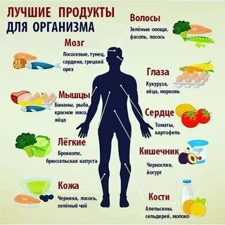 7 обязательных продуктов