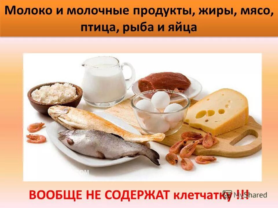 рыба птица молочные продукты и. мясо рыба молоко. белковая пища. белок в продуктах. рыба птица молочные продукты и.