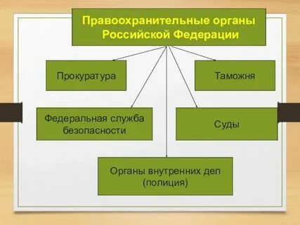 Органы способствующие правоохранительной деятельности