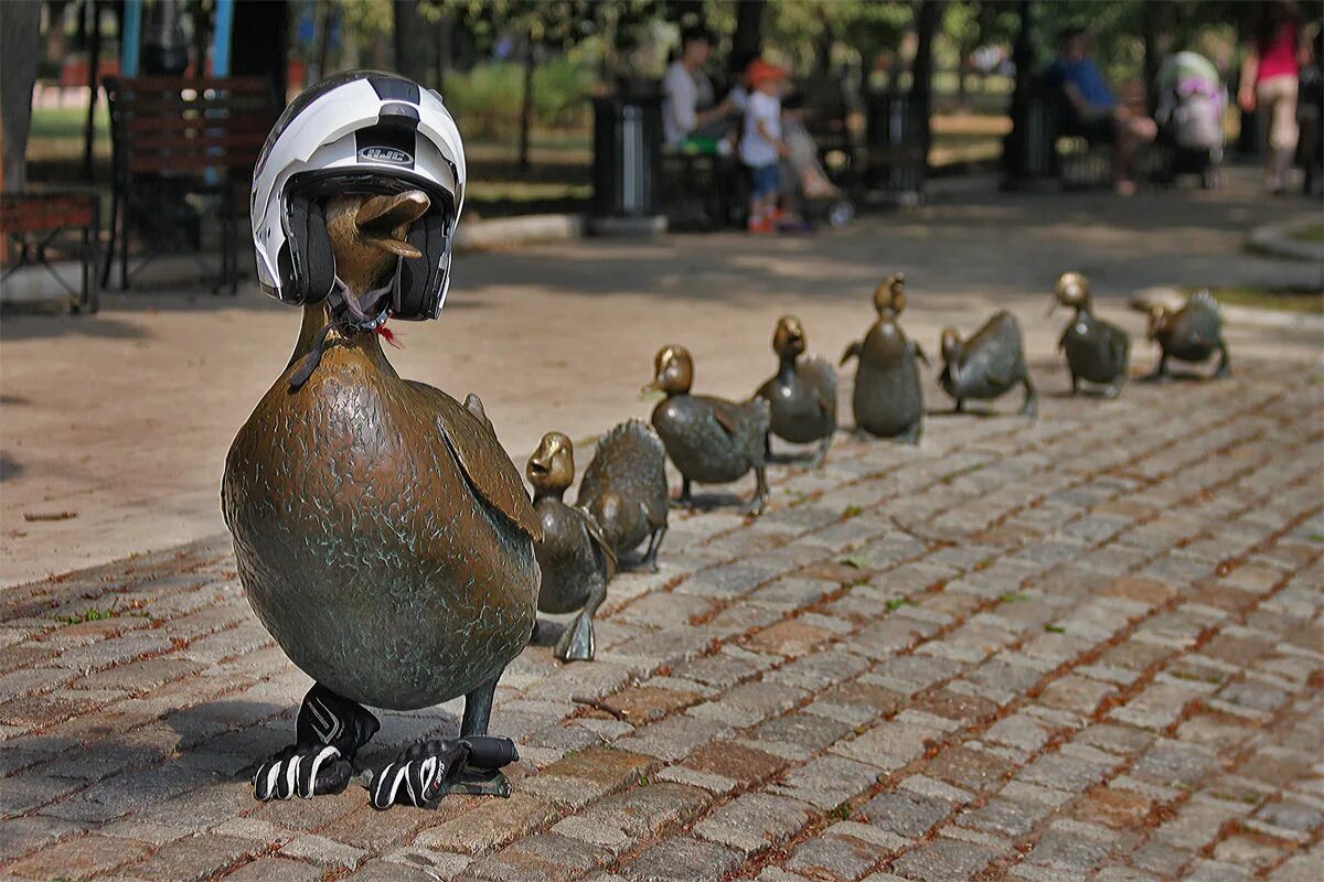 уточка в москве. утки подмосковья. памятник уткам у новодевичьего монастыря. уточка в москве. водоплавающие птицы екатерининский парк.
