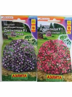 Петуния джоконда белая