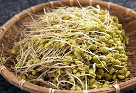 Маш для проращивания