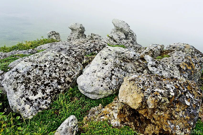Камчатский камень