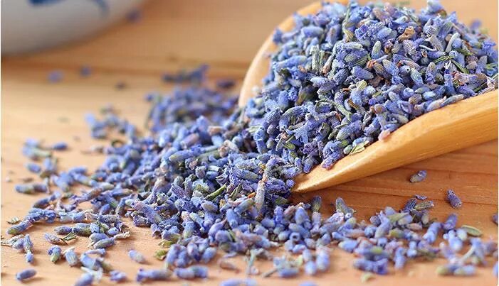 Лаванда сушеная применение. Лаванда натуральная. Лаванда сушеная применение. Лаванда сушеная применение. Лаванда цветки сушёные.