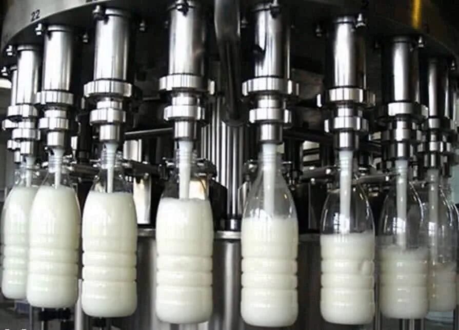 фасовка молочной продукции. триблок розлива молока. линия розлива молока. таурас-феникс упаковочное оборудование пюр пак. транспортеры для молочных заводов.