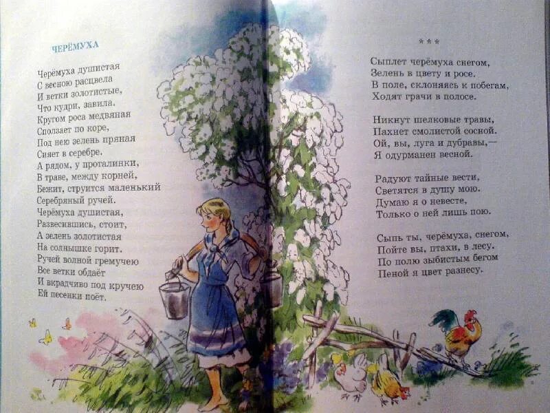 Лето стихи поэтов классиков. Стихи поэтов про лето. стихотворение русских поэтов. стихи о лете русских поэтов для детей. стихи русских поэтов пушкина.