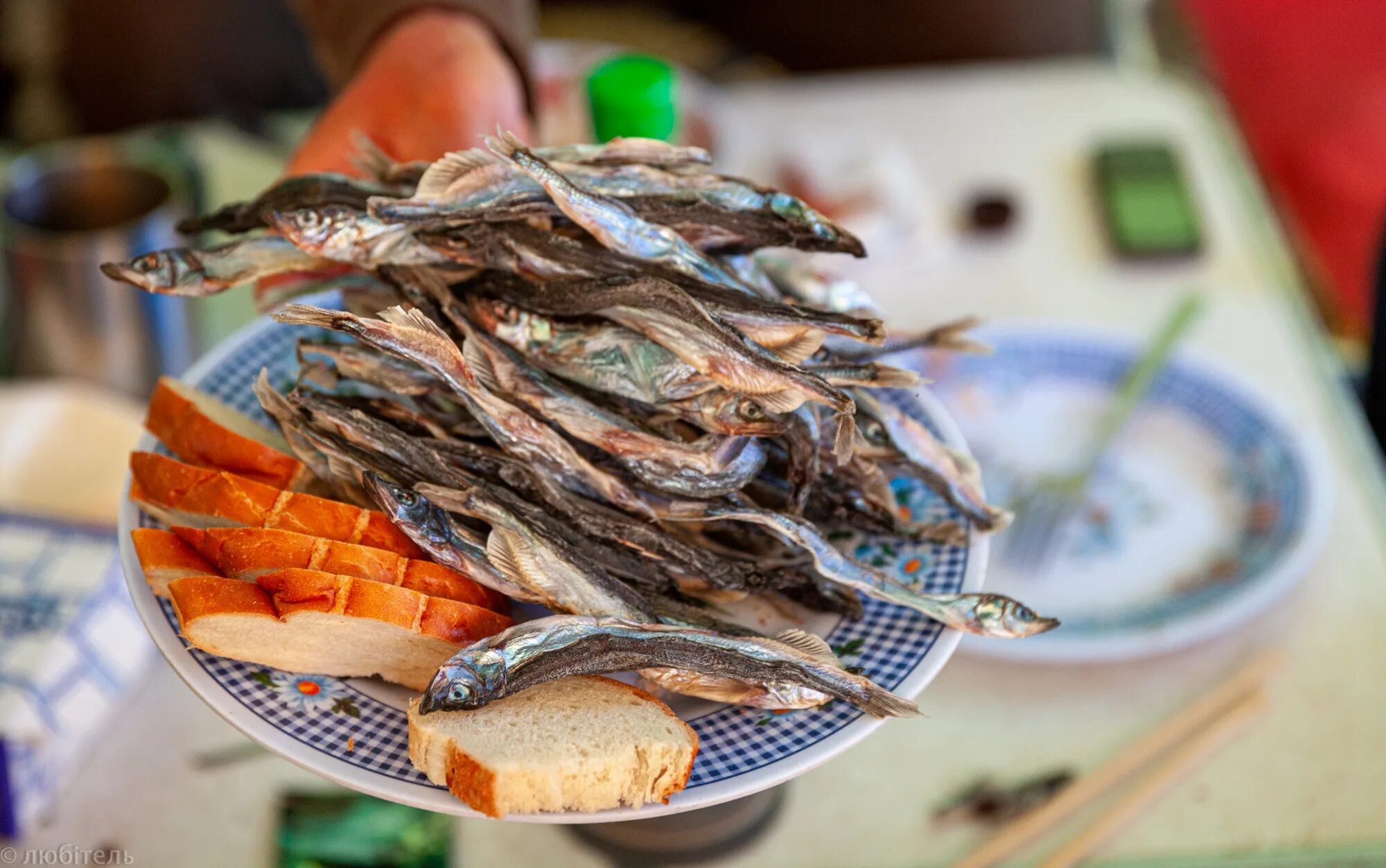 Рыбак камчатки пермь. Магазины рыба камчатки пермь. Магазин камчатка чебоксары. Антей икра. Рыбак камчатки пермь.
