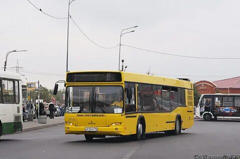 Автобус 54 спб