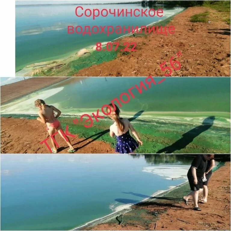 Сорочинское водохранилище Оренбургской. База на водохранилище в Сорочинске. Водохранилище Сорочинское водохранилище. Сорочинск водохранилище