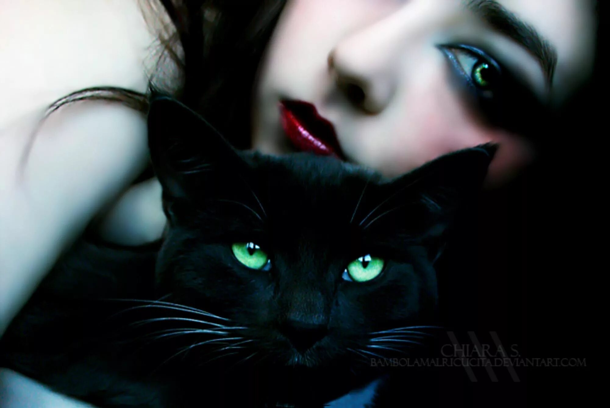 Черный кот и девочка. Девушка с кошачьими глазами. Девушка с черной кошкой. Девушка с черным котом. Брюнетка с черным котом.