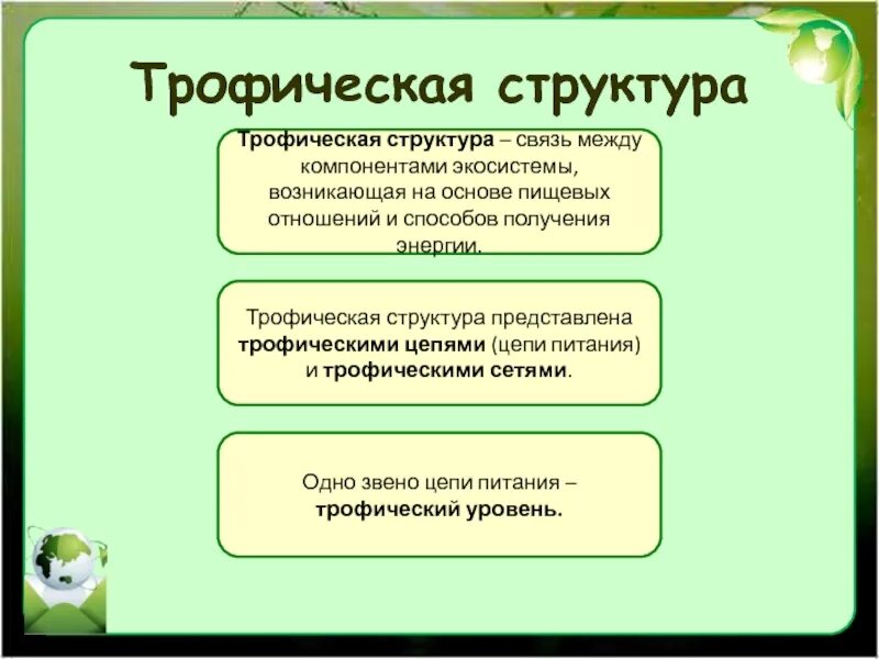 Первый трофический уровень представлен. Трофические уровни примеры. Взаимосвязь трофических уровней. Трофическая структура пищевая связь. Трофическая структура экосистемы.