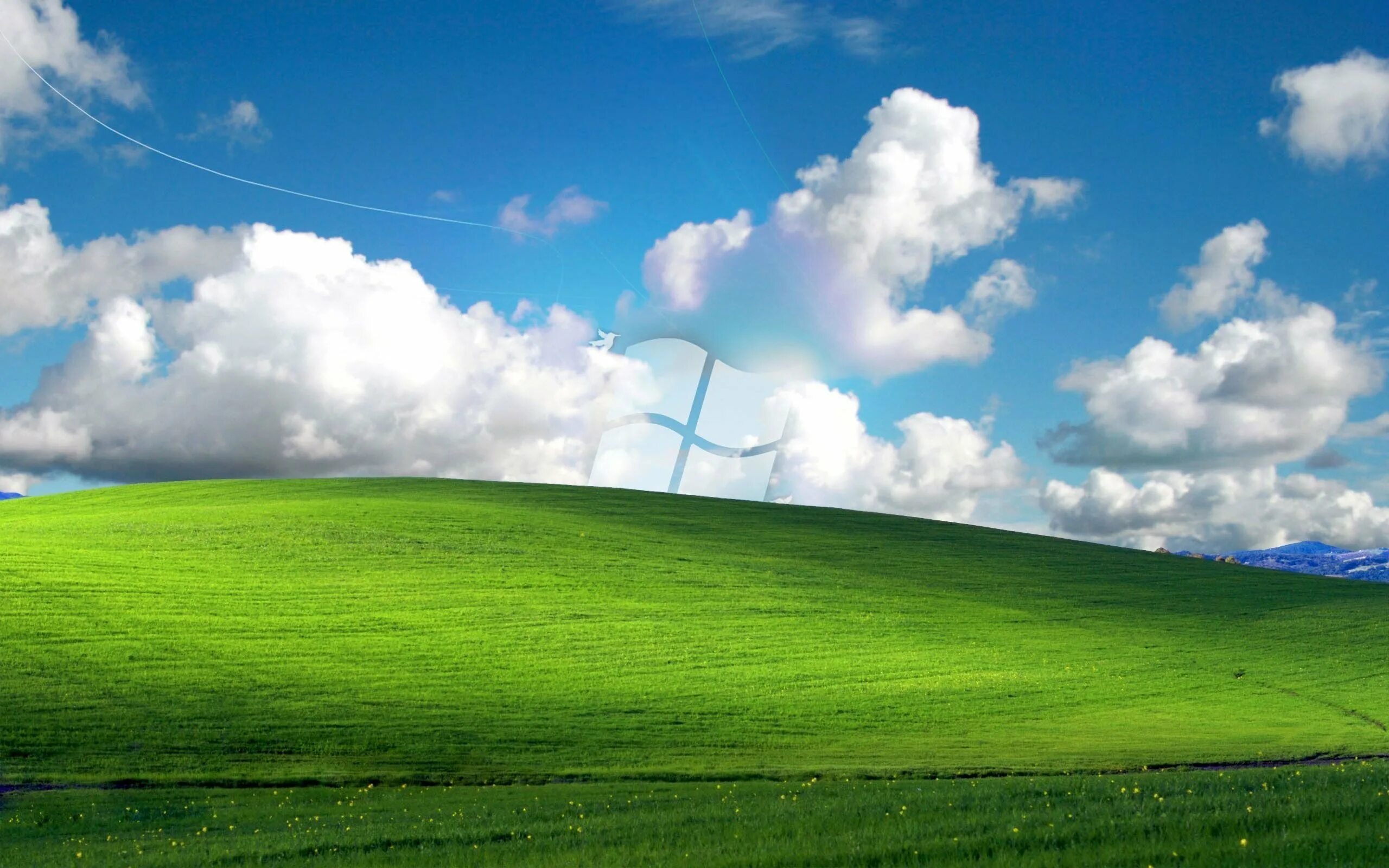 Поле Windows XP. Фоны рабочего стола windows изменить