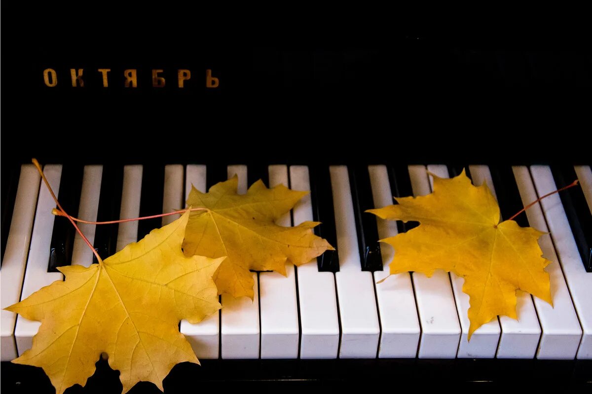Осенние листья песня. Пианино и осенние листья. Осень пианино. Осеннее фортепиано. Фортепиано осень.