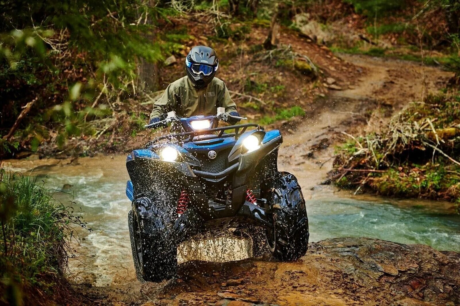 Квадроцикл модельный ряд. Квадроцикл yamaha grizzly 700 2019. yamaha grizzly 2025. квадроцикл yamaha grizzly eps se 2019.. yamaha grizzly 2025 eps se.