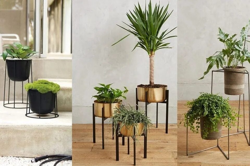 Дизайнерские подставки для цветов. The stand. Современные подставки для цветов. Pot stand. Подставки для комнатных цветов.