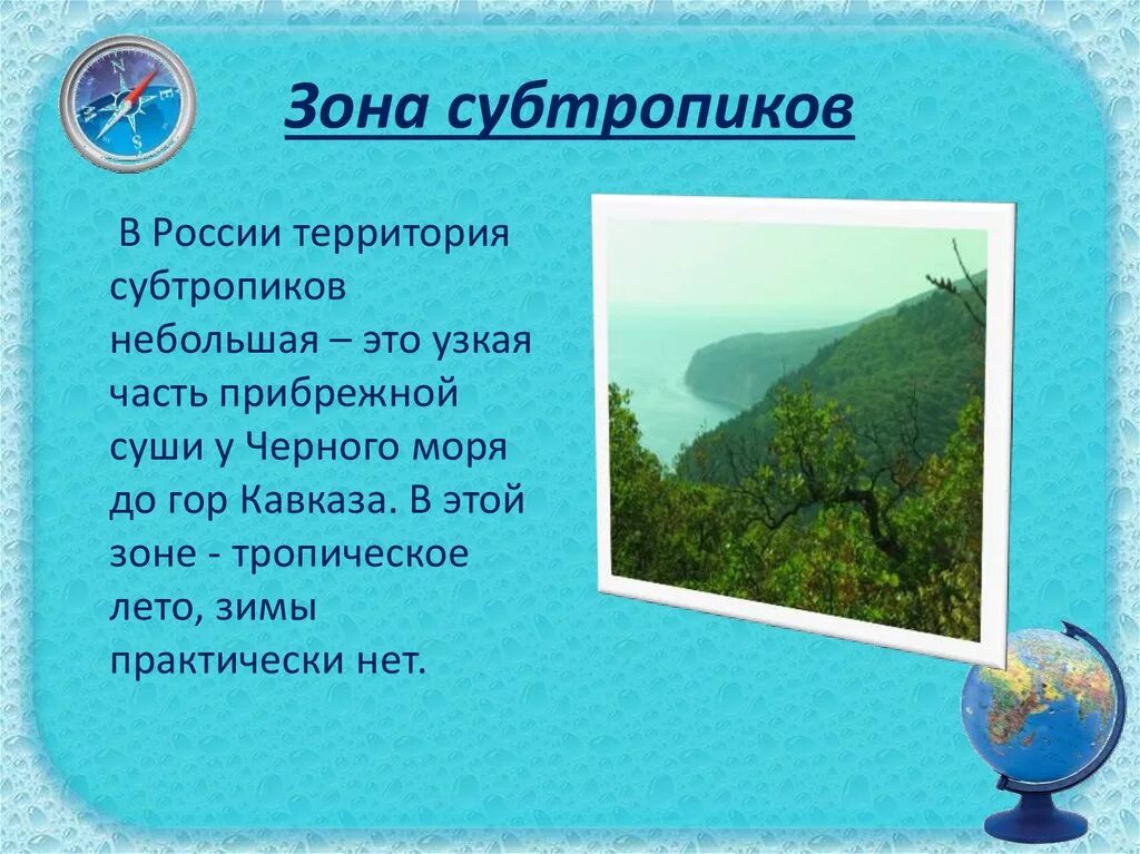 Субтропическая зона доклад. Природные зоны России субтропики. Зона субтропиков Черноморское побережье. Природные условия субтропиков. Субтропики 8 класс презентация полярная звезда