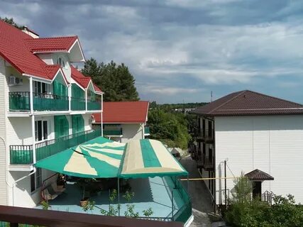 Фото ромашка адлер