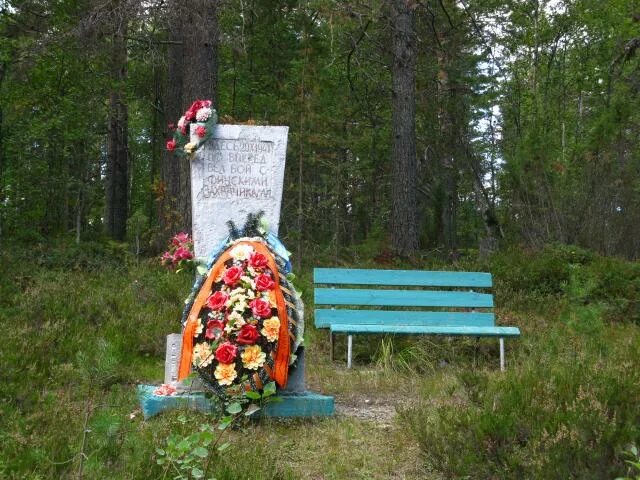 Село паданы карелия. Погода в паданах карелия. Село паданы. Погода в паданах карелия. Село паданы карелия.