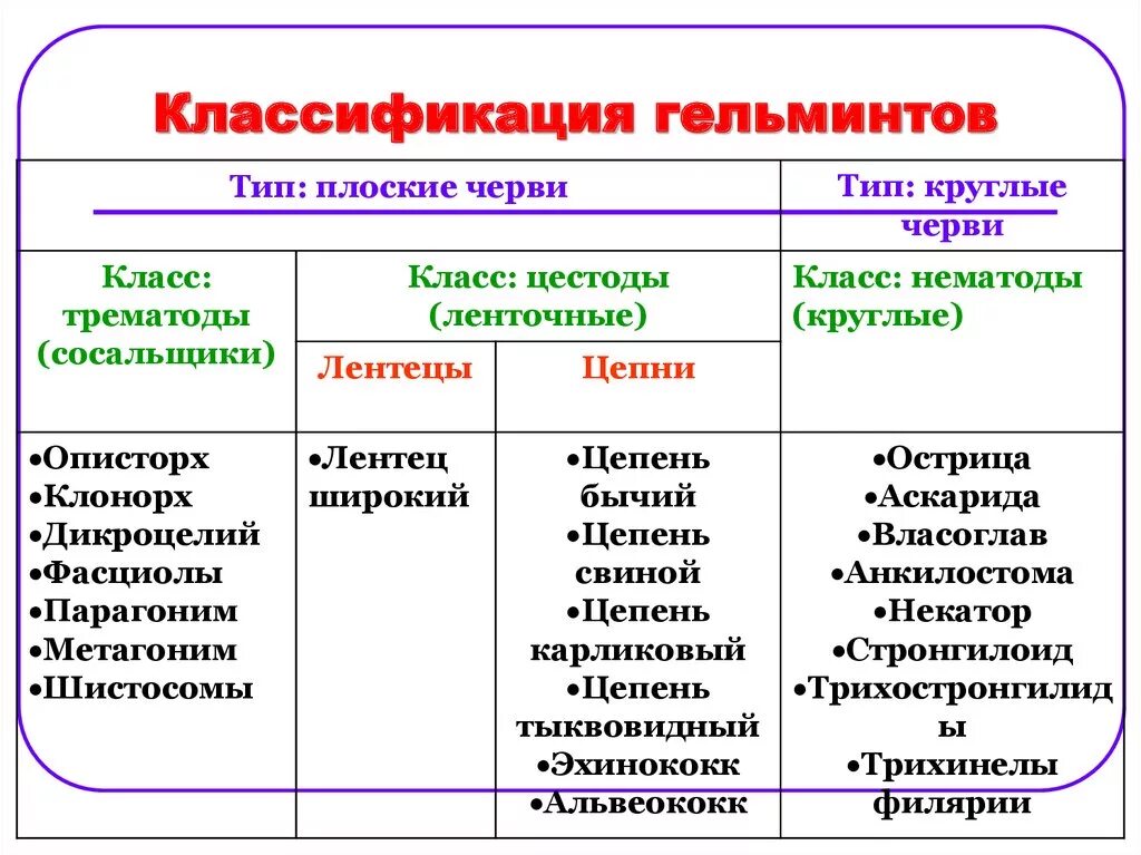 К группе плоских червей относится. Классификация гельминтов. Систематическая классификация гельминтов. Классификация строении гельминтов. Классификация гельминтов таблица.