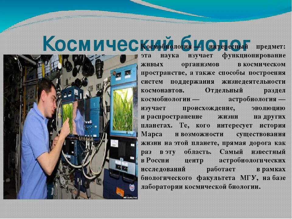 Специальность биология кем работать