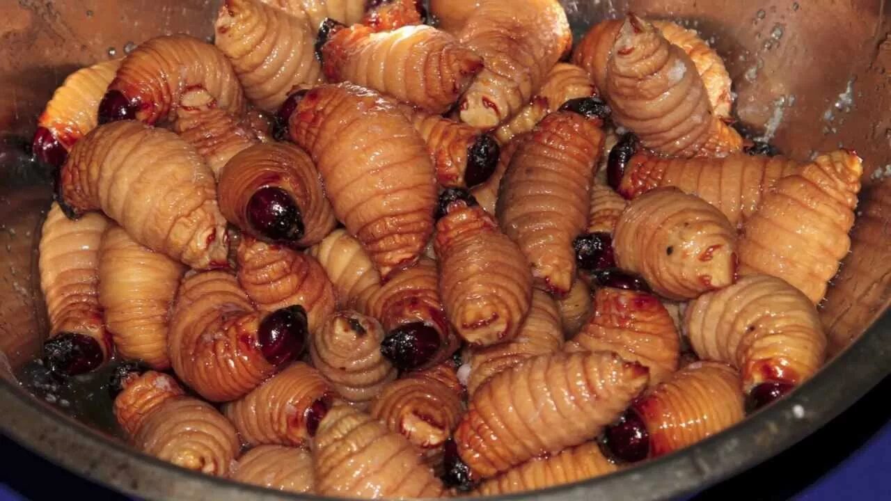 Экзотические блюда. Блюда из насекомых. Съедобные личинки насекомых. Личинки рецепт. Экзотические блюда.