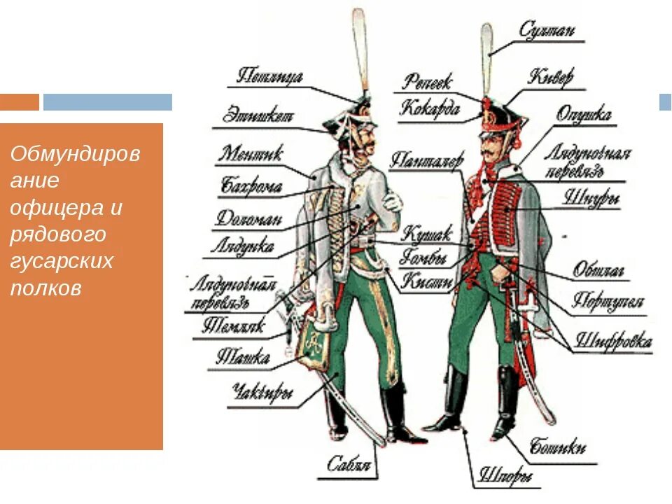 Гусарский кивер 1812. Форма Гусар русской армии 1812 года. Форма русской армии 1812 Гусарская. Гусарские полки русской армии форма 1812 года.