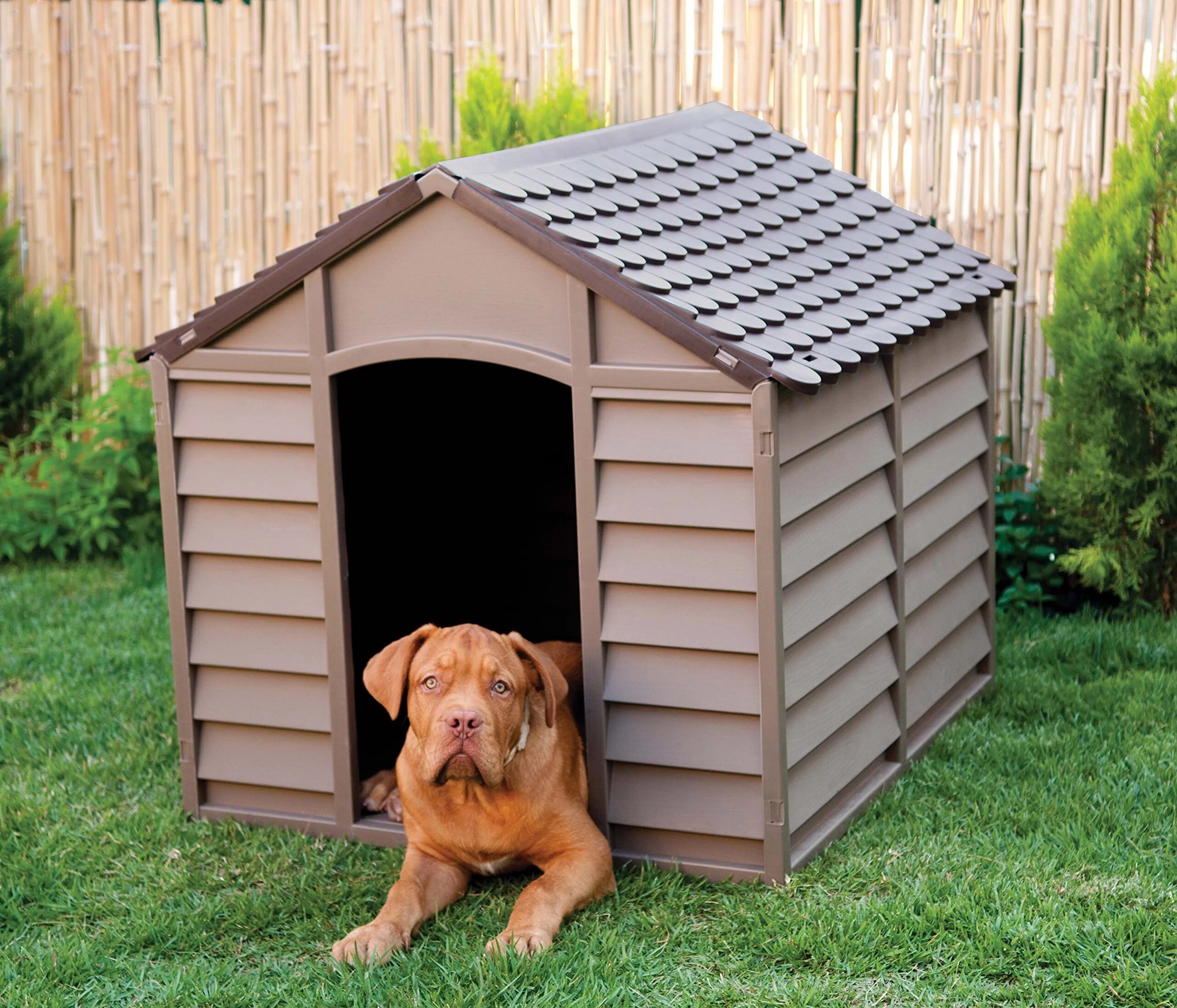 Pet дом. Собачья будка Keter Dog House 99x99x95 см пластик. Будка для собак Trixie 39531 77х82х88 см. Будка для собаки Keter. Bama Pet будка для собак Bungalow l 101х94х77h см, пластик, зеленая.