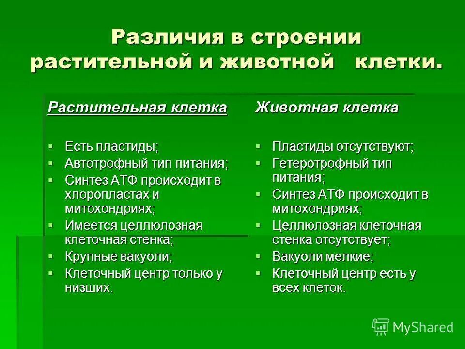 Чем животные отличаются от растений кратко. Различие животной клетки от рас. Отличие клеток растений от клеток животных. Клетки растений отличаются от клеток животных таблица. Отличие клетки растений от клетки животных таблица.