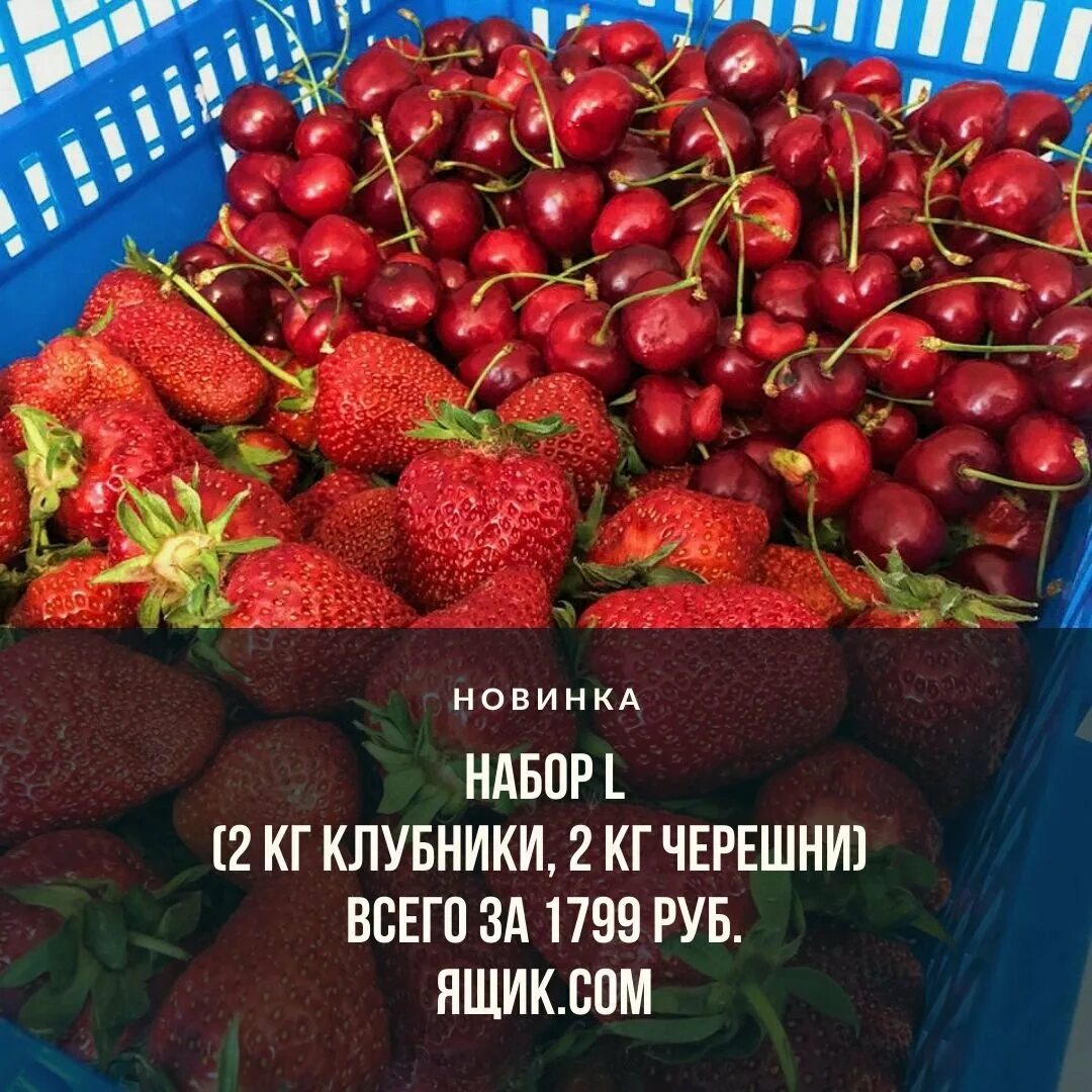 2 Кг клубники. 5 Кг клубники. Килограмм клубники. 3 Кг клубники.