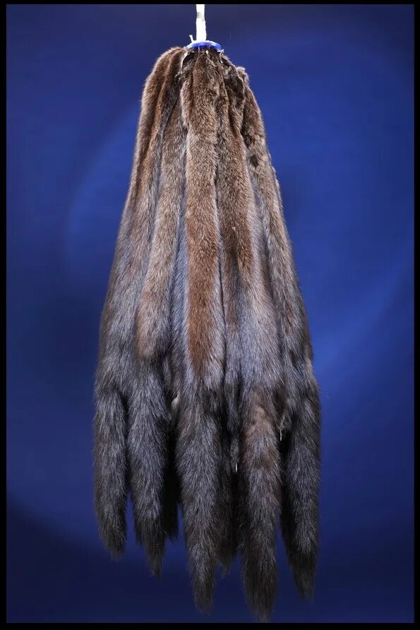 Король в мехах. Горностай мантия короля. Король мехов. Король мехов. Король в мантии из горностая.