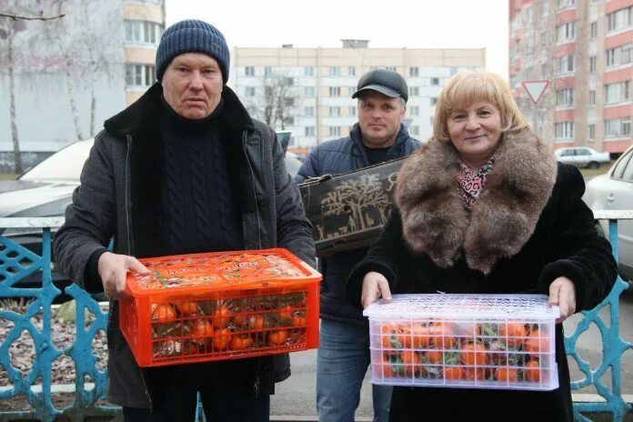 Г Буда Кошелево Гомельской области. Буда-Кошелево Беларусь Совхозная улица. Городок (Буда-Кошелёвский район).