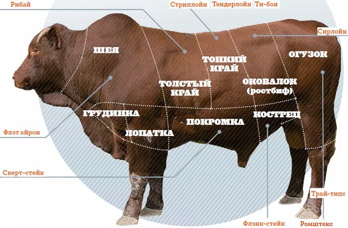 Рибай какая часть. Стейк Рибай часть туши. Части говядины для стейка. Части коровы для стейка. Части быка для стейка.