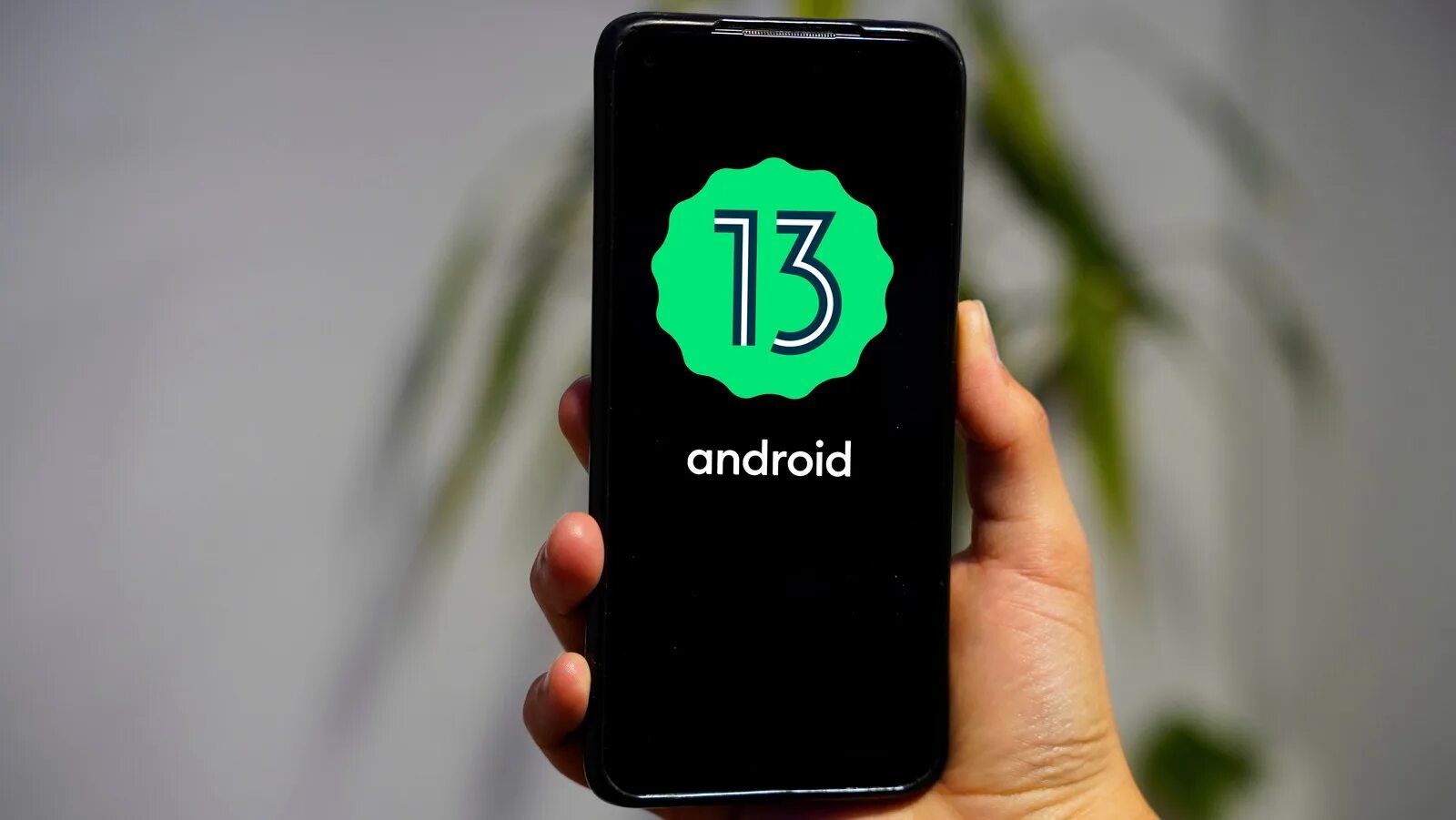 Андроид 13. Андроид 13 лого. Андроид 13 телефон. Android 13 Samsung. Версия андроид 13 телефоны