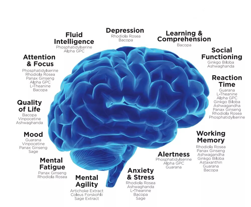 Good brain. Nootropics classification. Effects of Nootropics. Types of Nootropics. Effect Nootropics for Motivation.