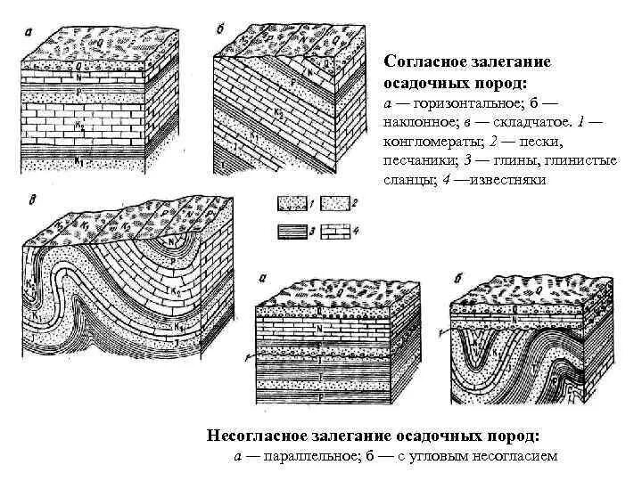 Несогласное залегание горных пород. Форма залегания липарита. Залегание осадочных горных пород. Горизонтальное залегание осадочных горных пород. Слой породы 5