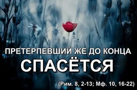 Претерпевший же до конца спасется