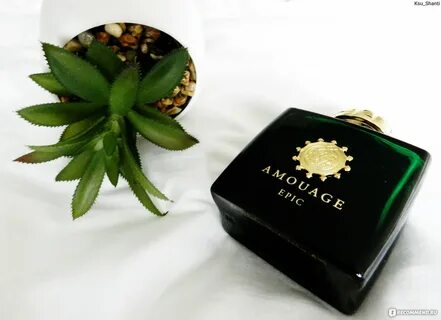 Amouage guidance