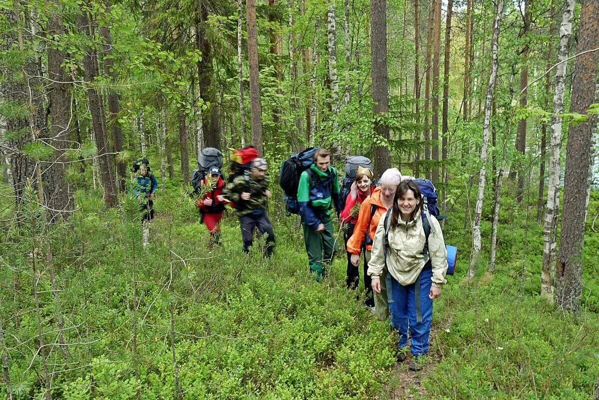 Туристы в лесу. Пешеходный туризм. Поход в лес. Туристический поход в лес. В группе туристов 50
