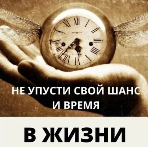 Не упустить ни