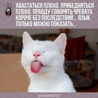 Не хочу хвастаться но я
