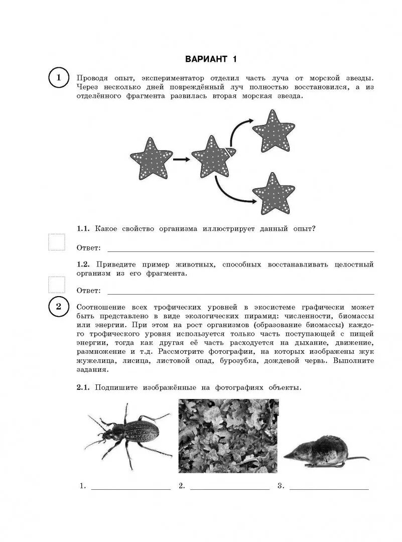 Впр по биологии 5 класс 11 задание. Впр биология 11 класс. впр биология 11 класс вариант. впр. биология. 8 класс ( концентрическая программа). вариант 2.