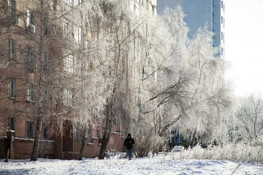 Потепление в ростове. Новосибирск погода зимой. Ледяной ураган сегодня в. Погода в Новосибирске сегодня сейчас 2022. Фото. Прогноз погоды в Новосибирске..