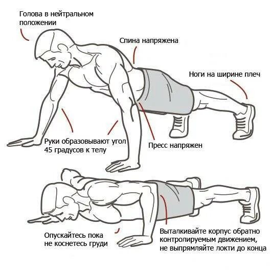 Сколько можно отжимания. Правильная методика отжимания от пола. Правильная схема отжимания от пола. Правильное выполнение отжиманий от пола.