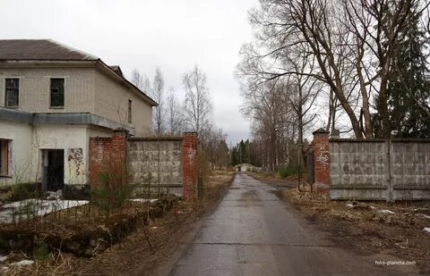 Ижора ломоносов