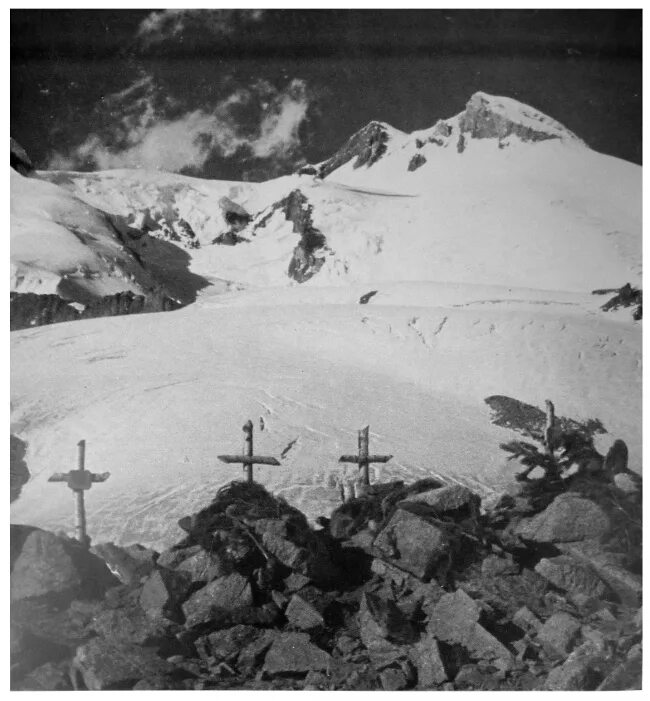 Эдельвейс на эльбрусе останки. Битва за кавказ эльбрус немцы. Рододендрон горный кавказский. Битва за кавказ горные стрелки эдельвейс. Эдельвейс эльбрус.